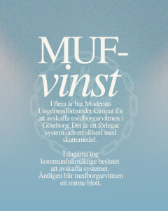 MUF-vinster-3